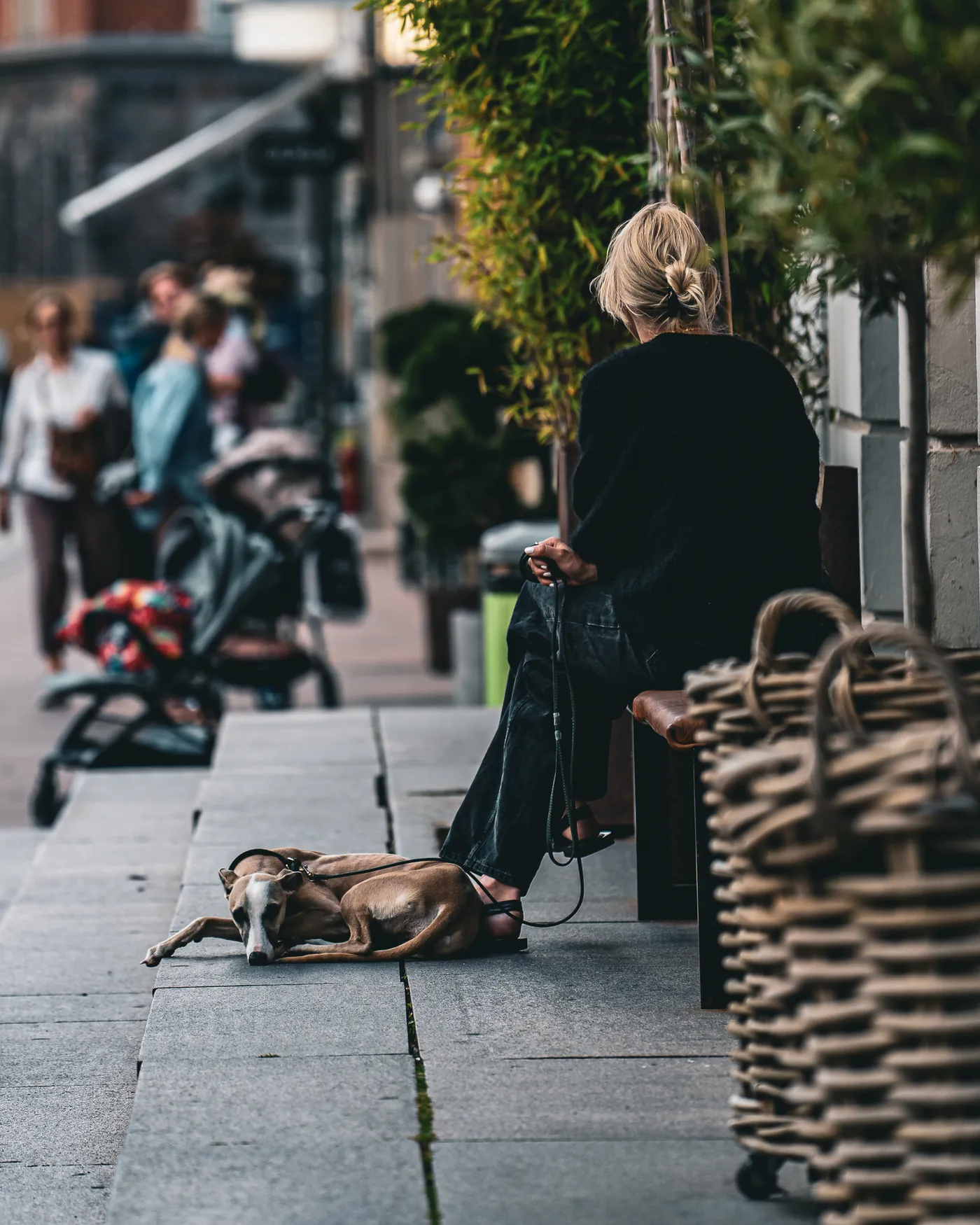 Fotografi af Mads Dyg: Gadeliv med hund på fortovet