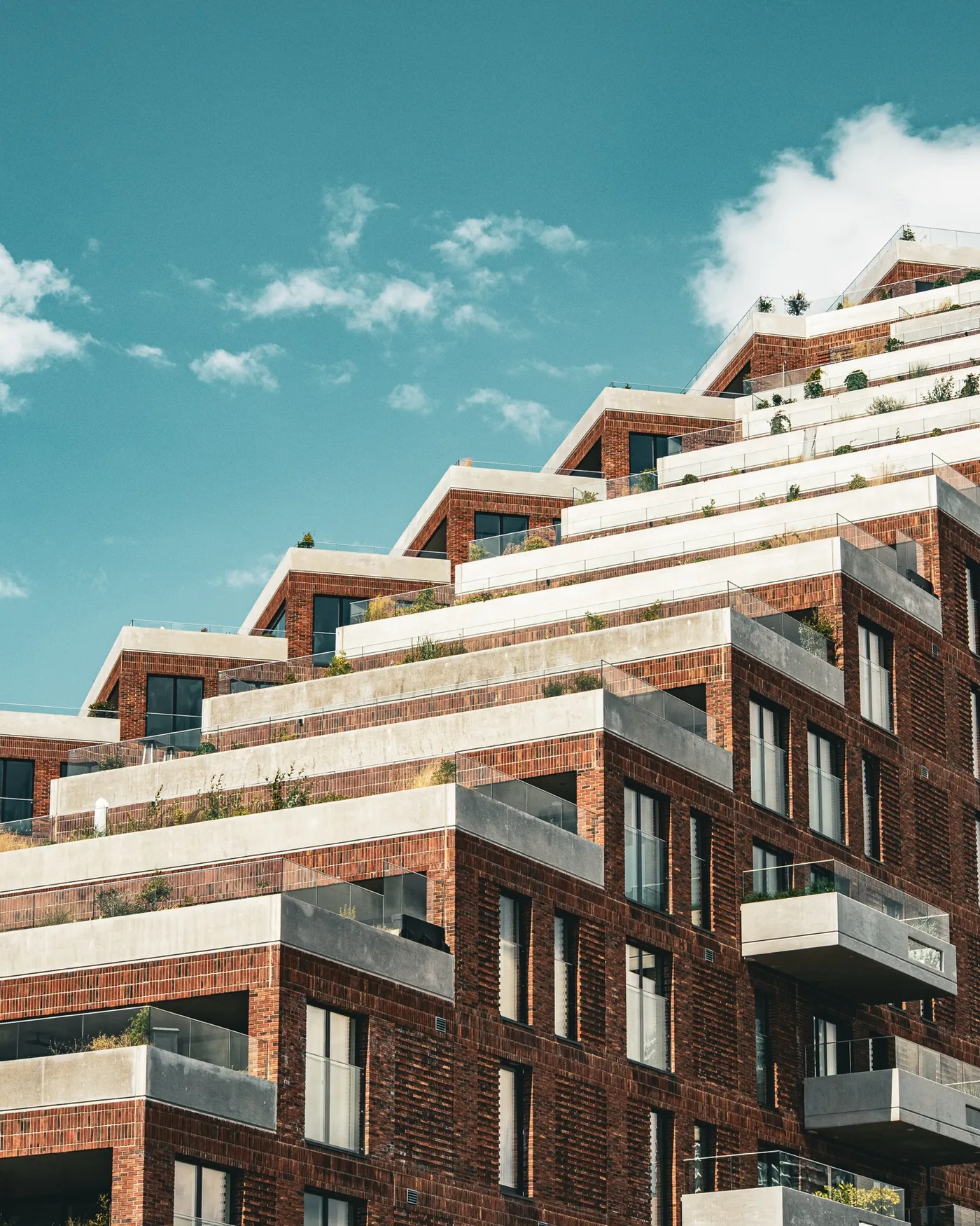 Fotografi af Mads Dyg: Terrasseret boligbyggeri i solskin